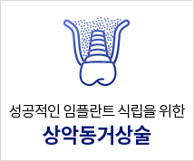 상악동거상술